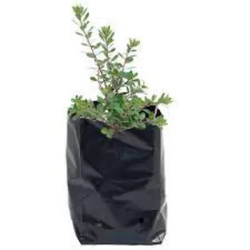 Plant Bags